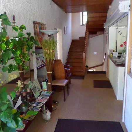 Logis Restaurant Les Carillons Hotel Cransac